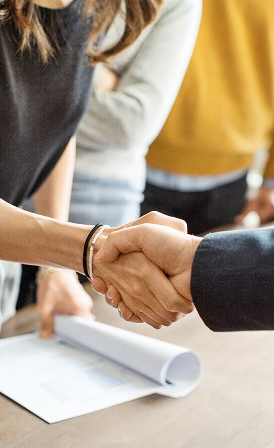 Professionals shaking hands