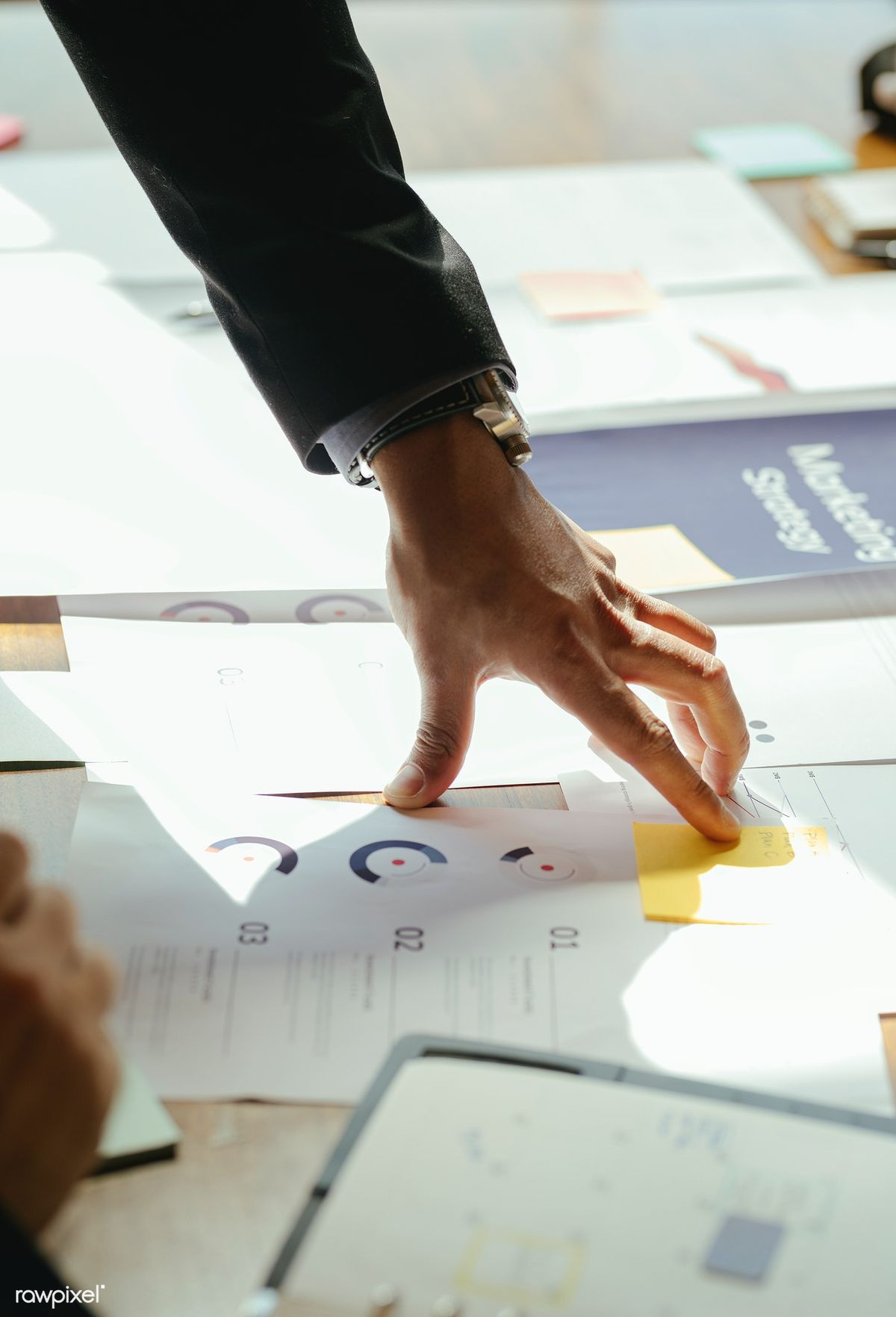 A professional reviewing performance charts
